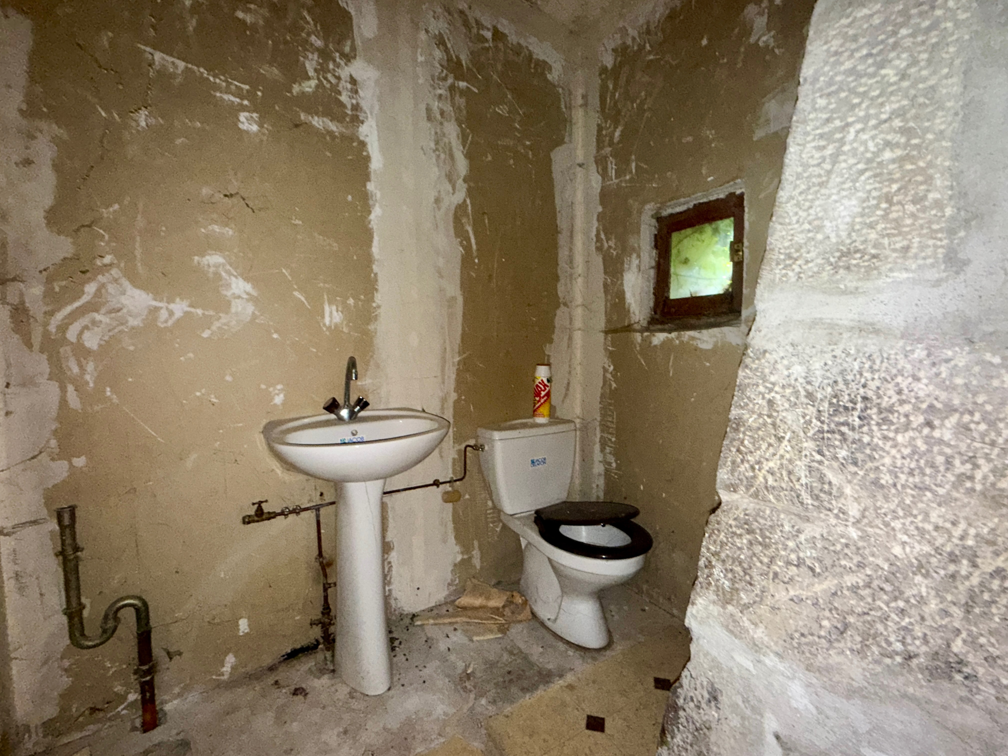 vente maison FAVERGES SEYTHENEX