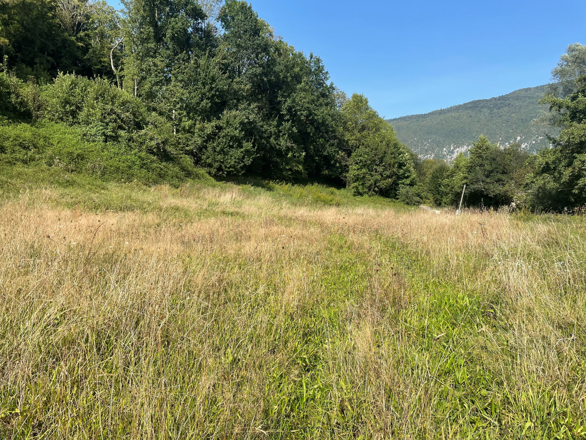 vente terrain ST ALBAN DE MONTBEL