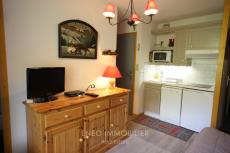 vente appartement LA PLAGNE