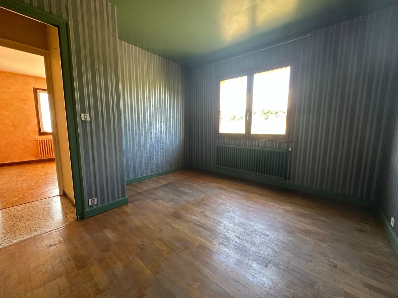 vente maison LA ROCHE SUR FORON