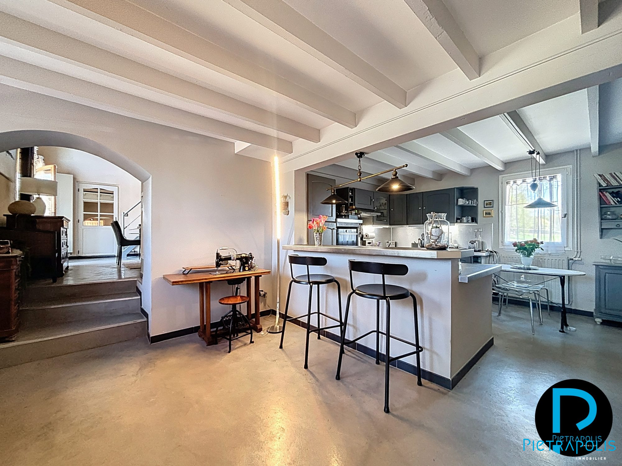 vente maison CHATILLON SUR CHALARONNE