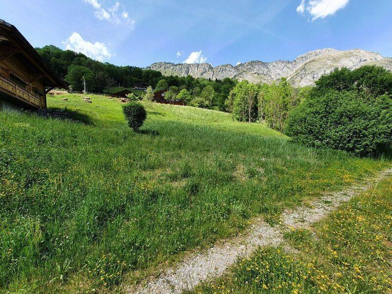 vente terrain ABONDANCE