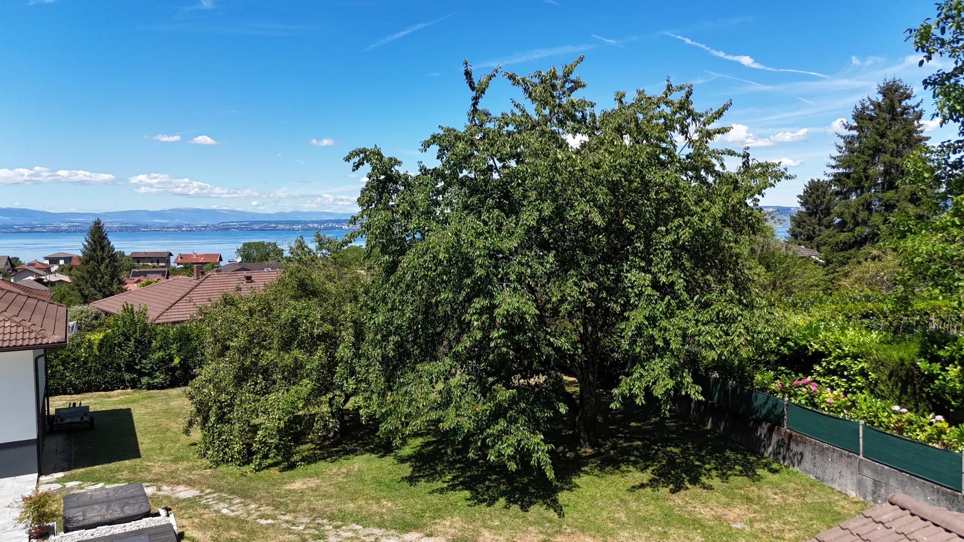 vente terrain NEUVECELLE