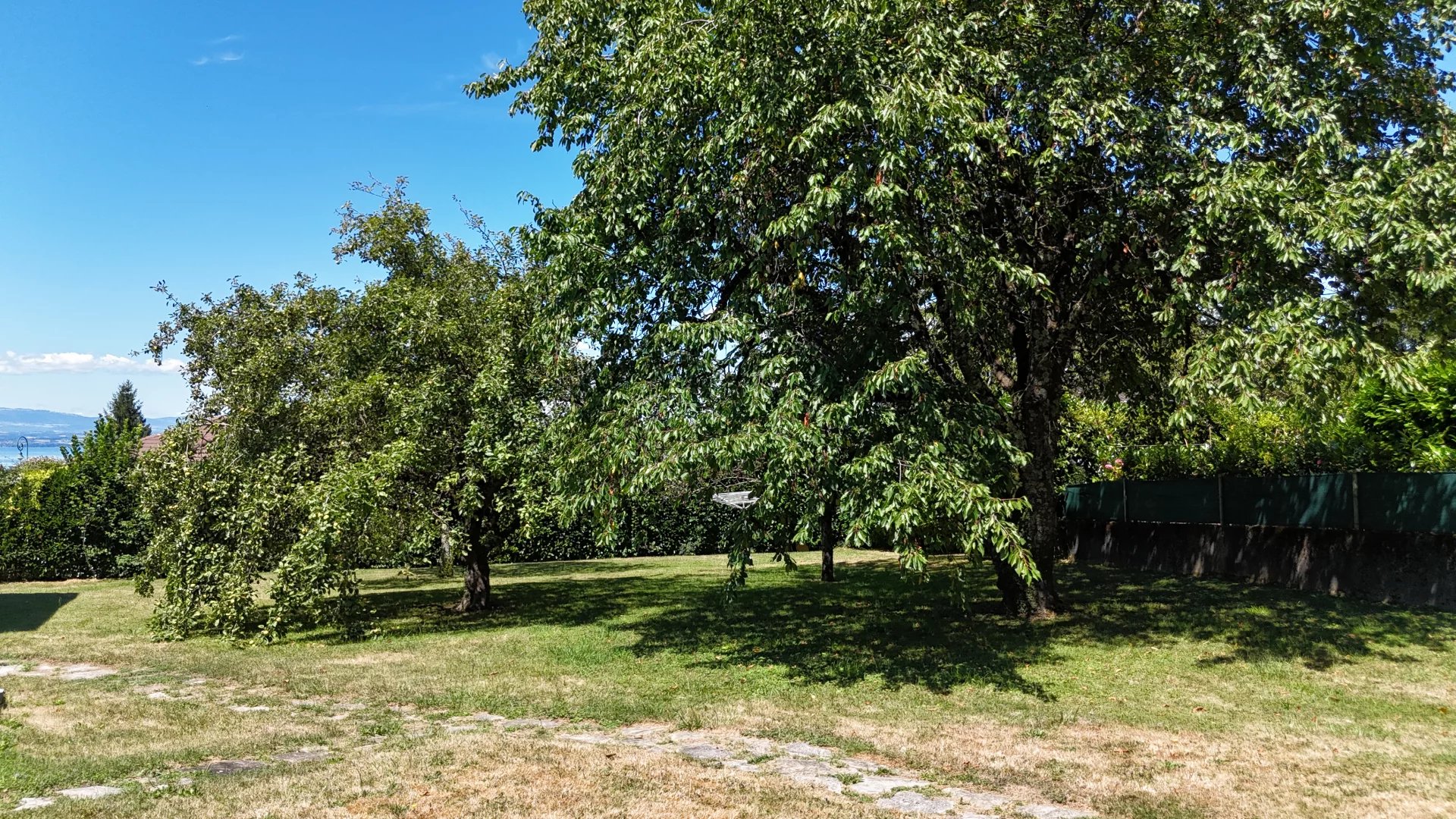 vente terrain NEUVECELLE
