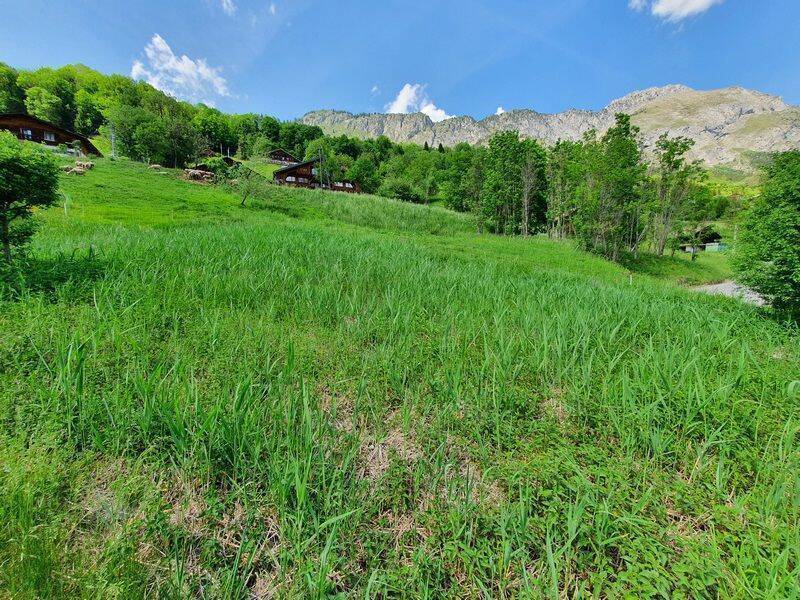 vente terrain ABONDANCE