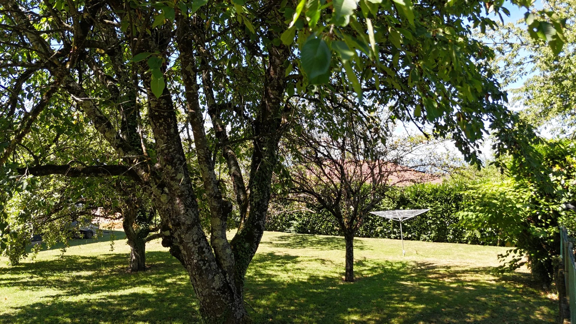 vente terrain NEUVECELLE