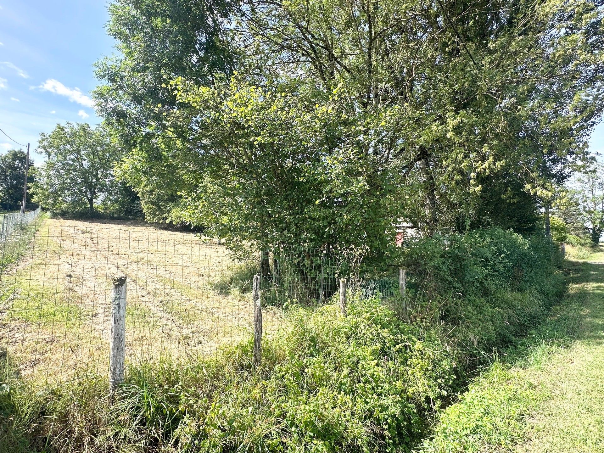 vente terrain VERJON