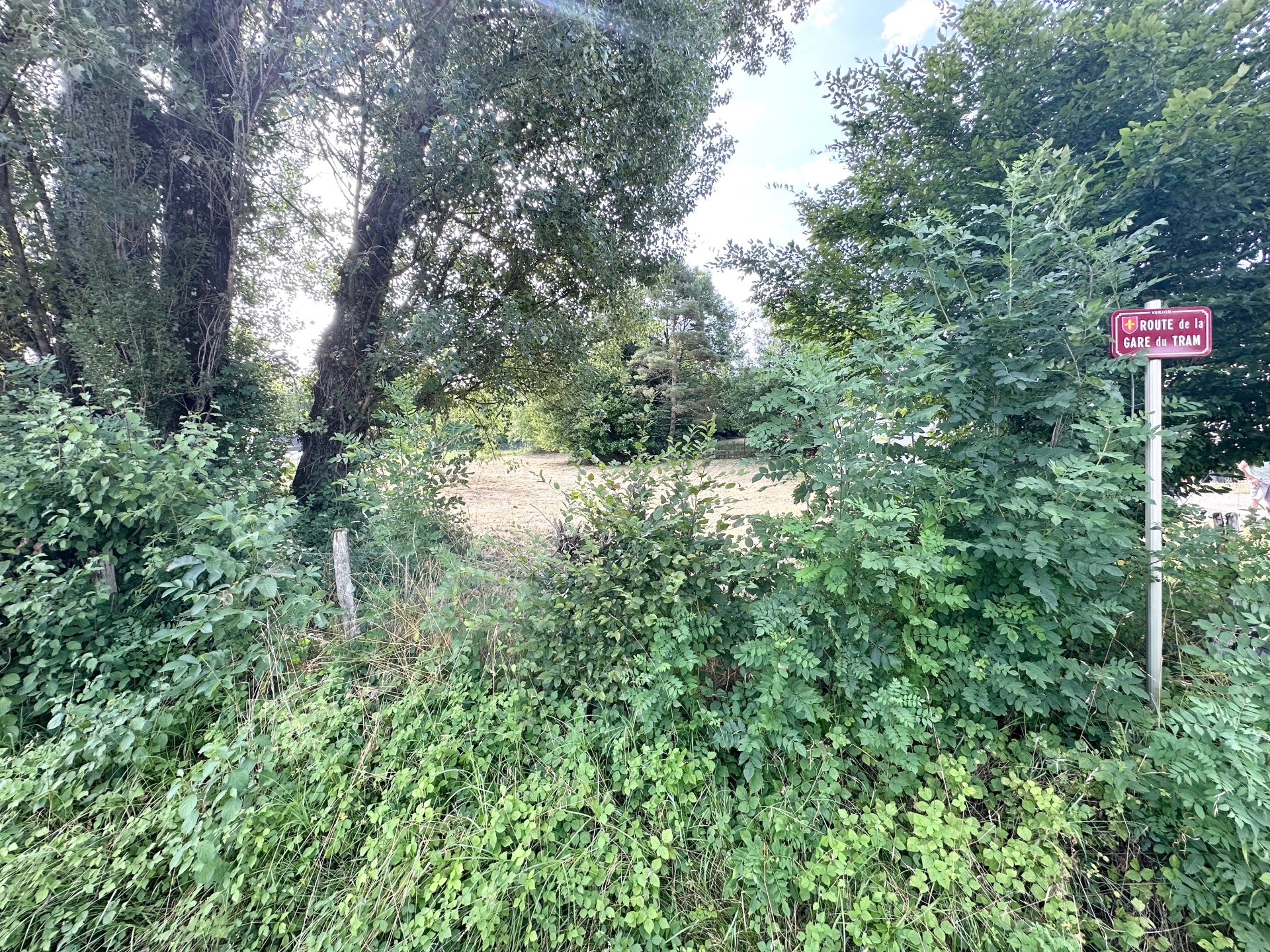 vente terrain VERJON