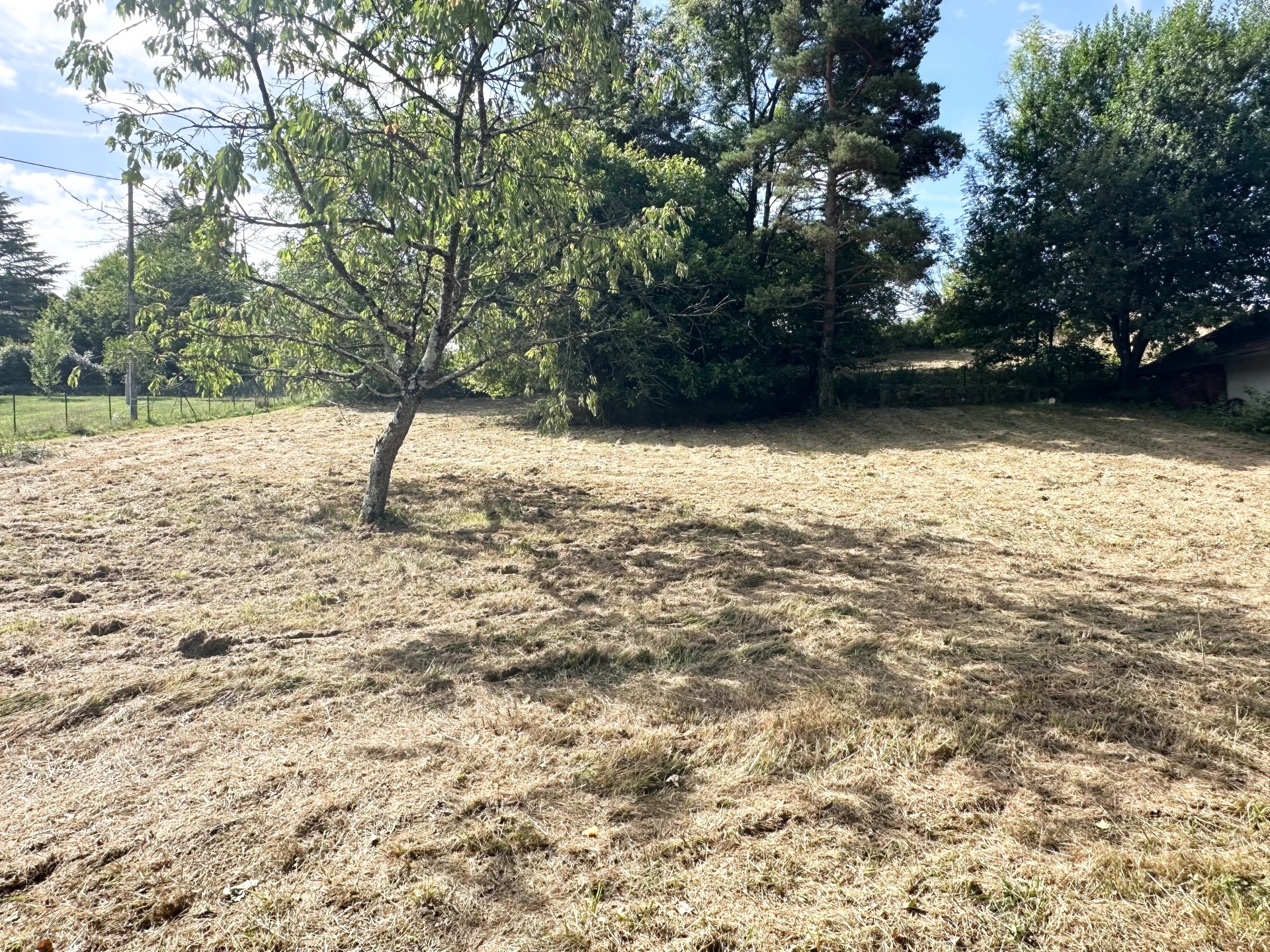 vente terrain VERJON