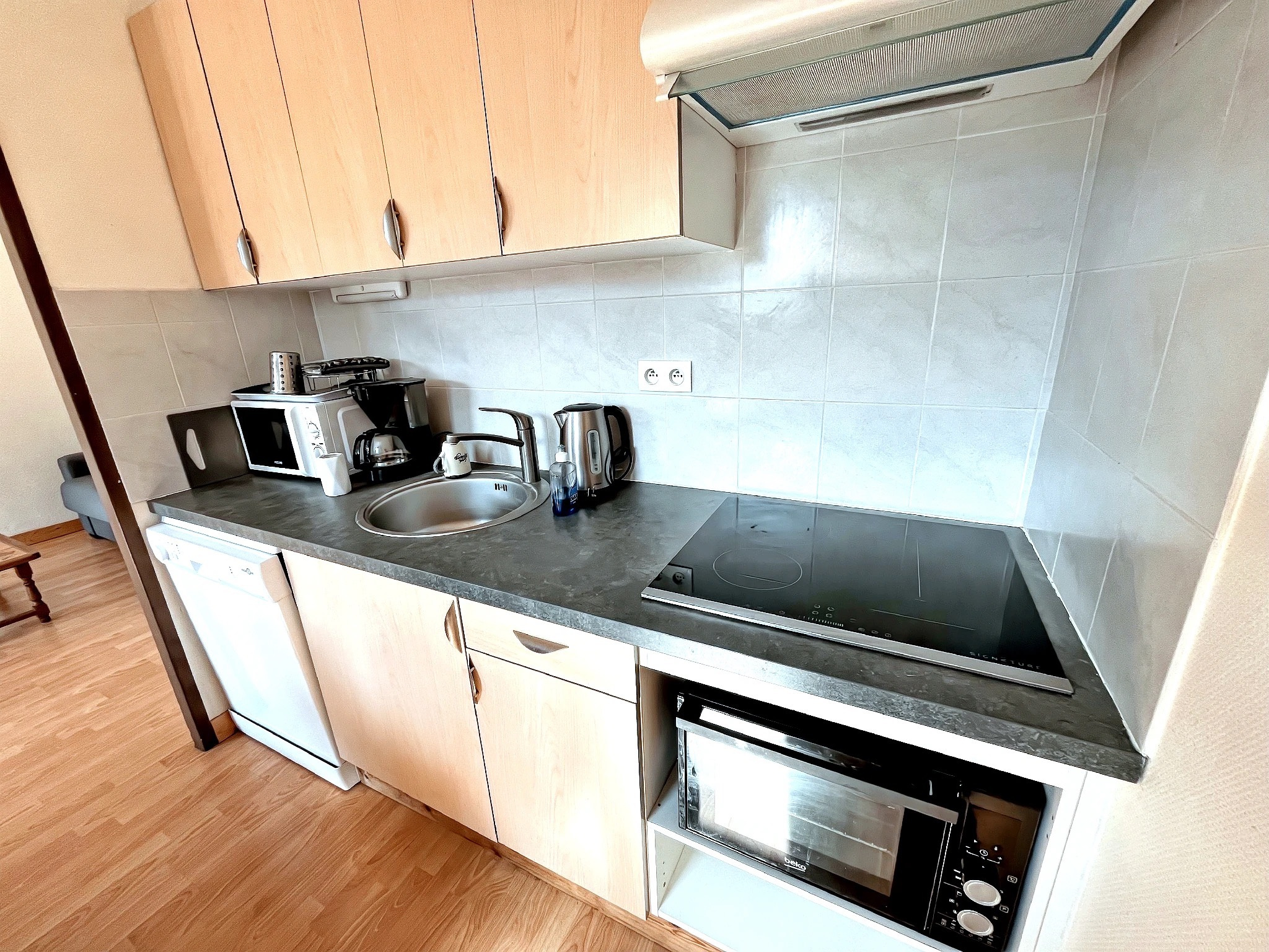 vente appartement SALLANCHES