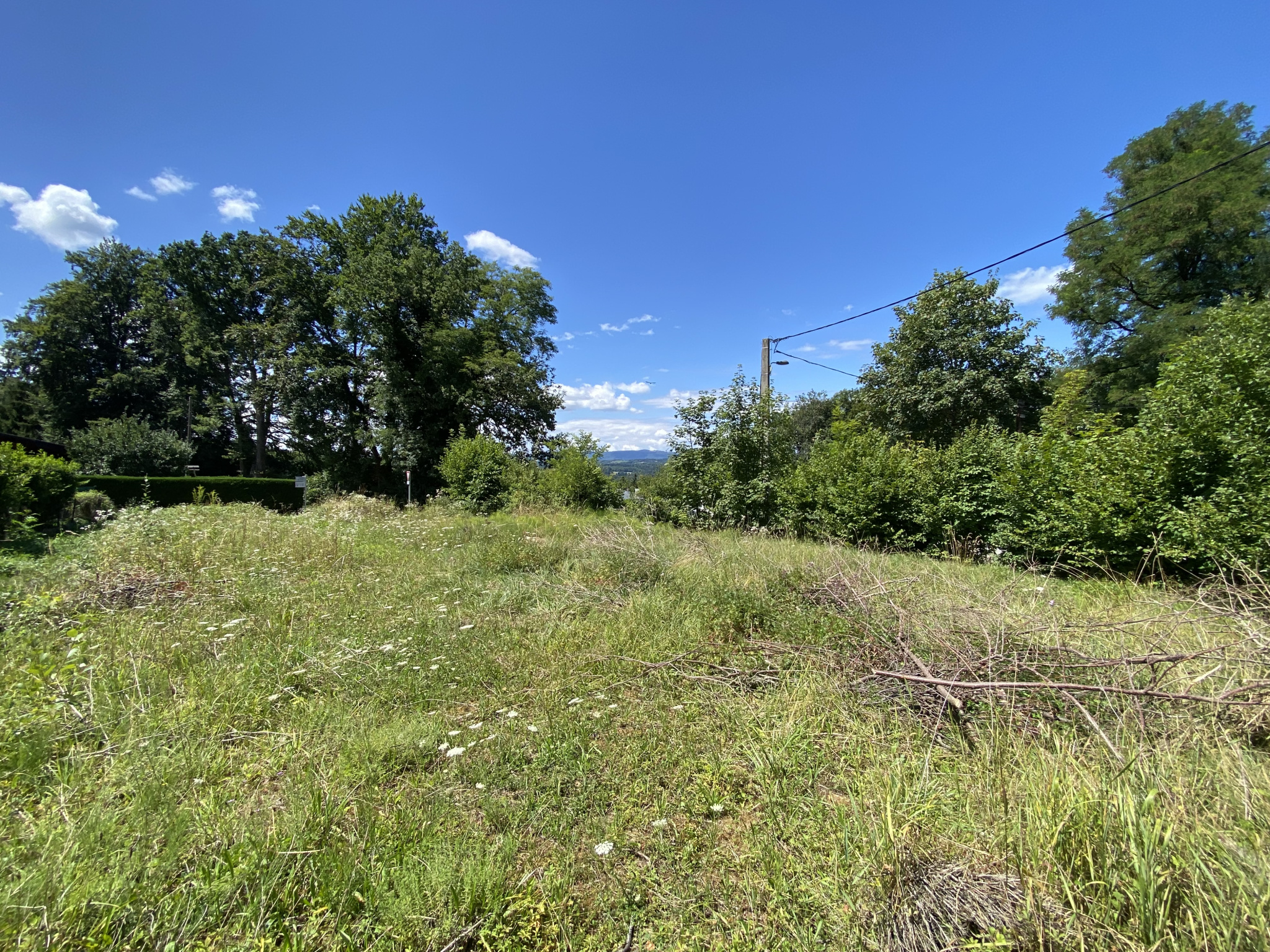 vente terrain LA ROCHE SUR FORON
