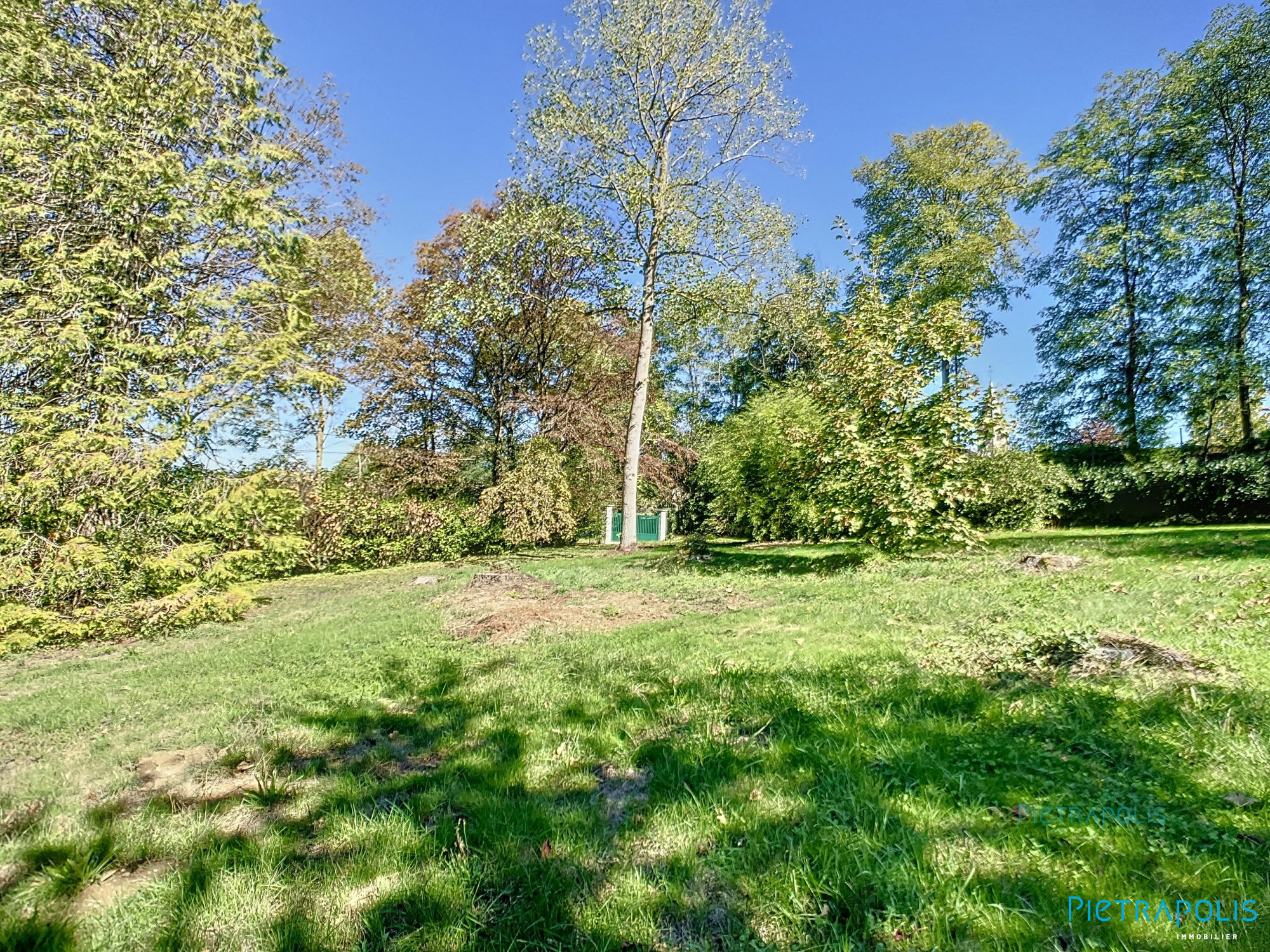 vente terrain CHANOZ CHATENAY