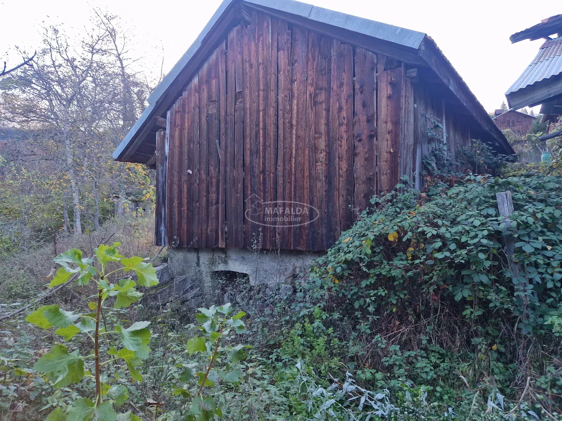 vente maison MONT SAXONNEX