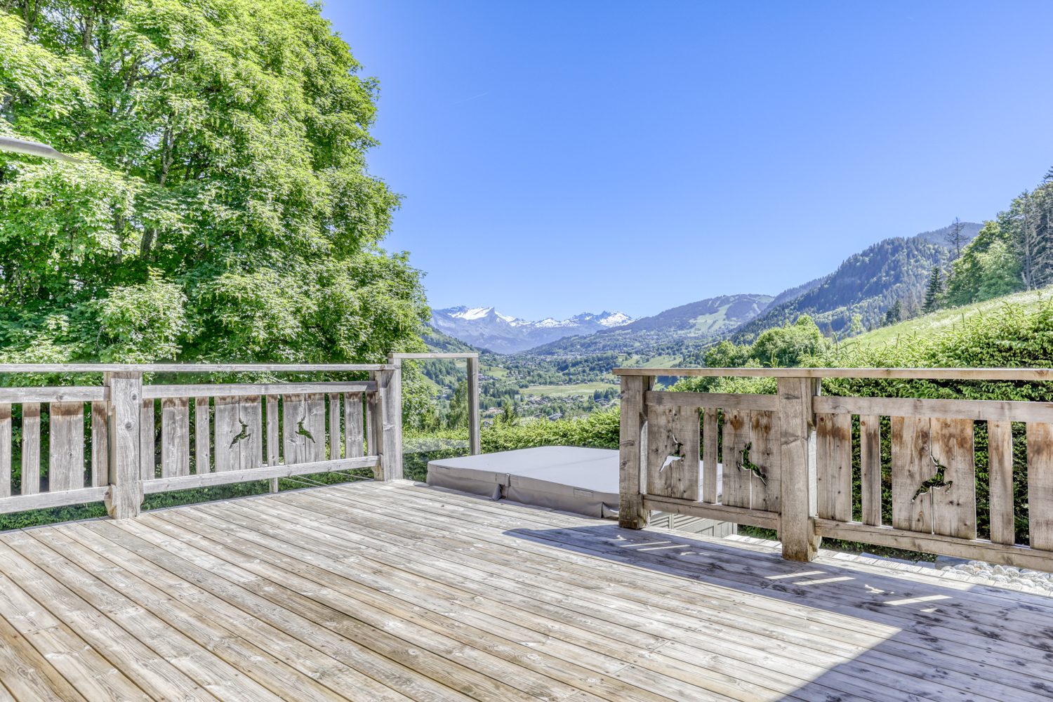 vente maison PRAZ SUR ARLY