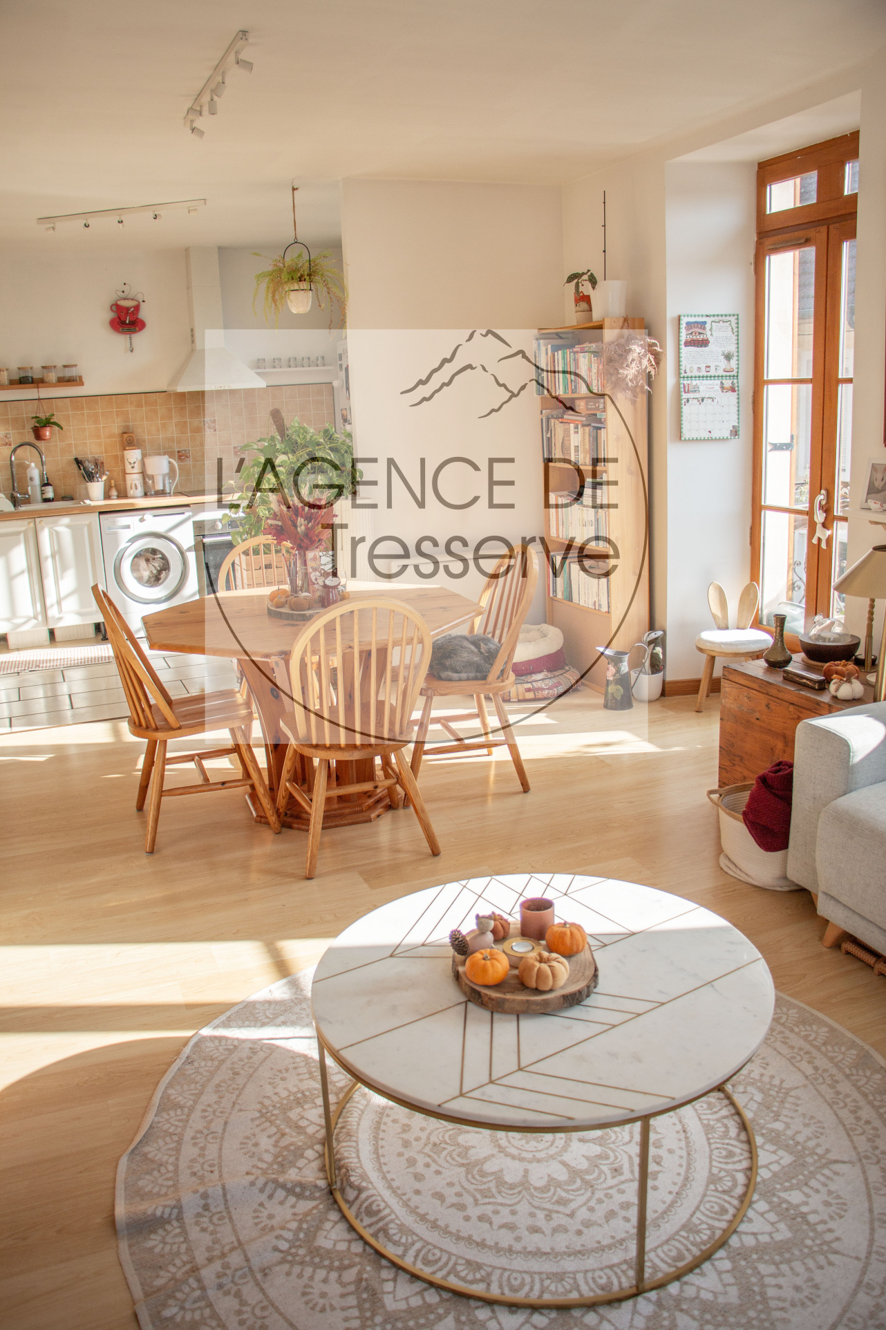 vente appartement AIX LES BAINS