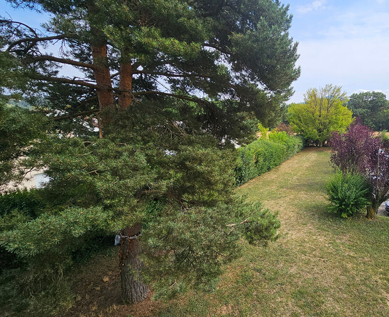 vente appartement 