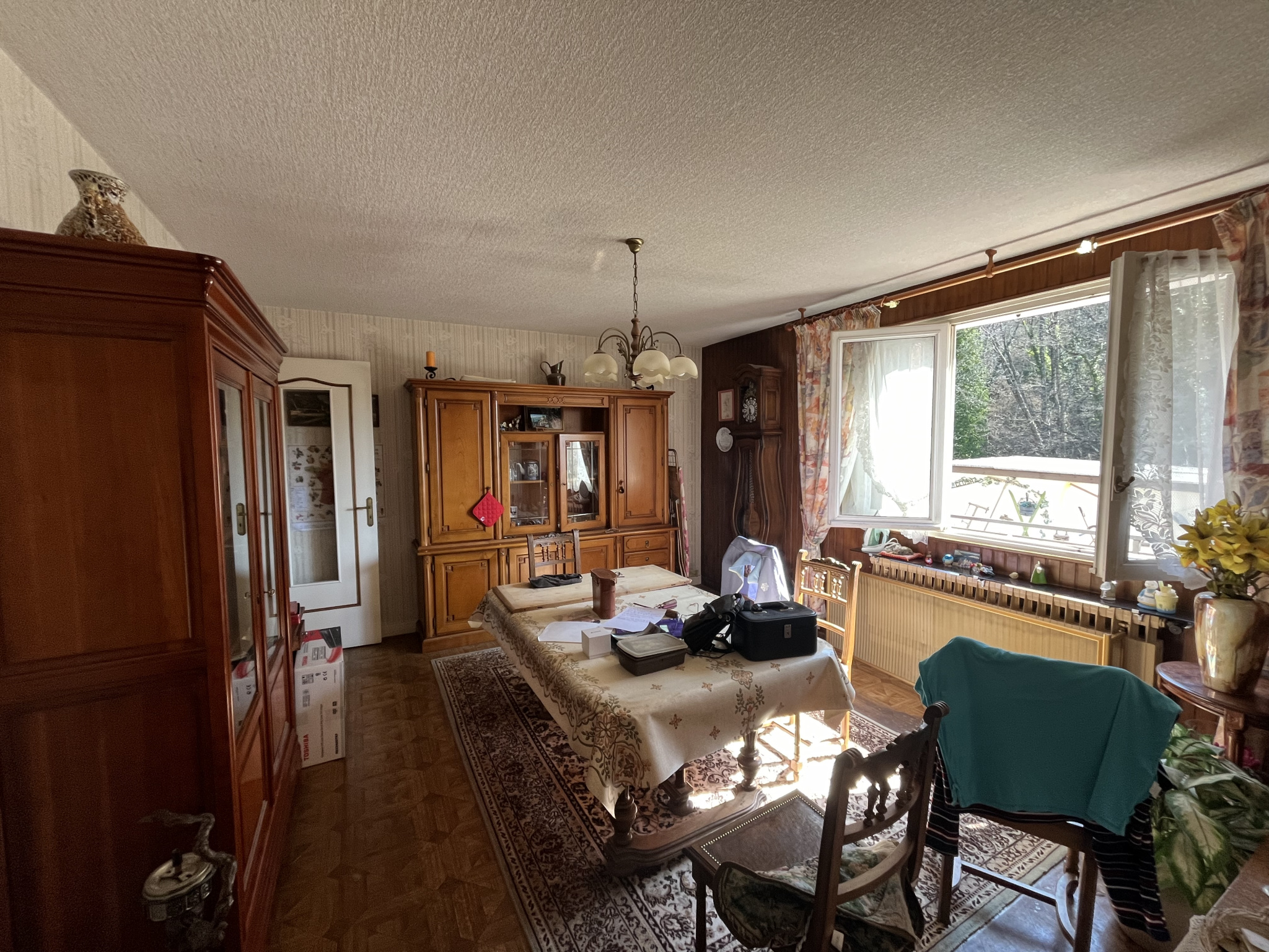 vente maison LA BALME DE SILLINGY