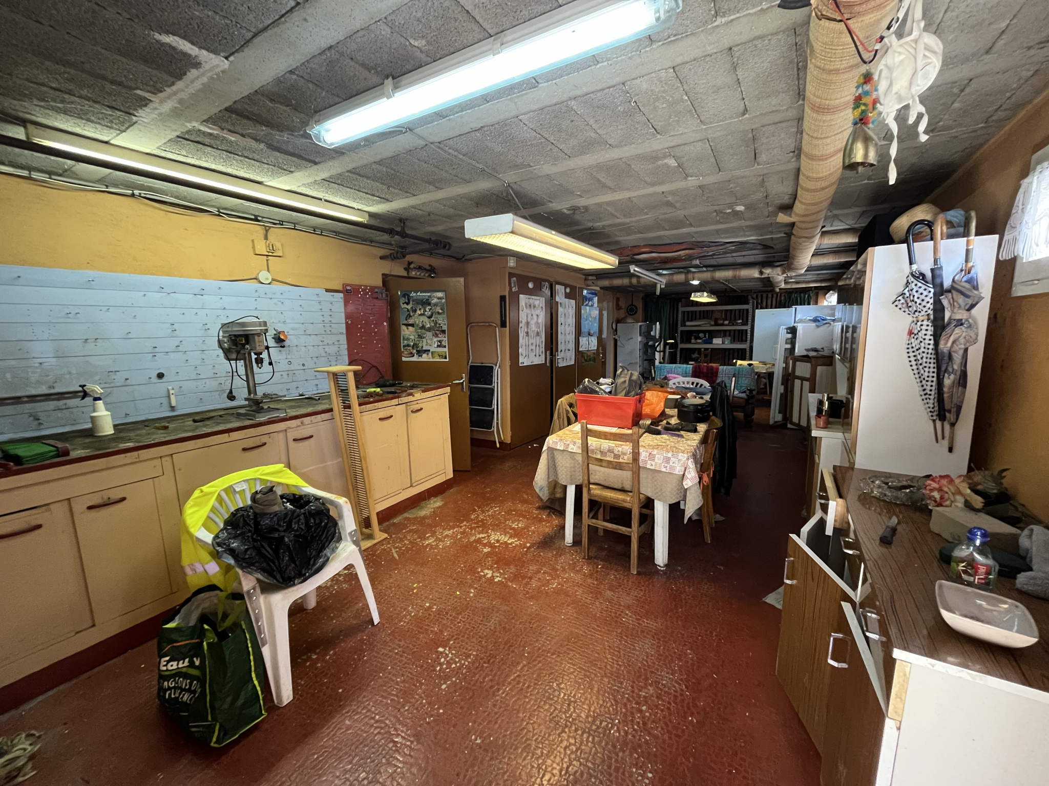 vente maison LA BALME DE SILLINGY