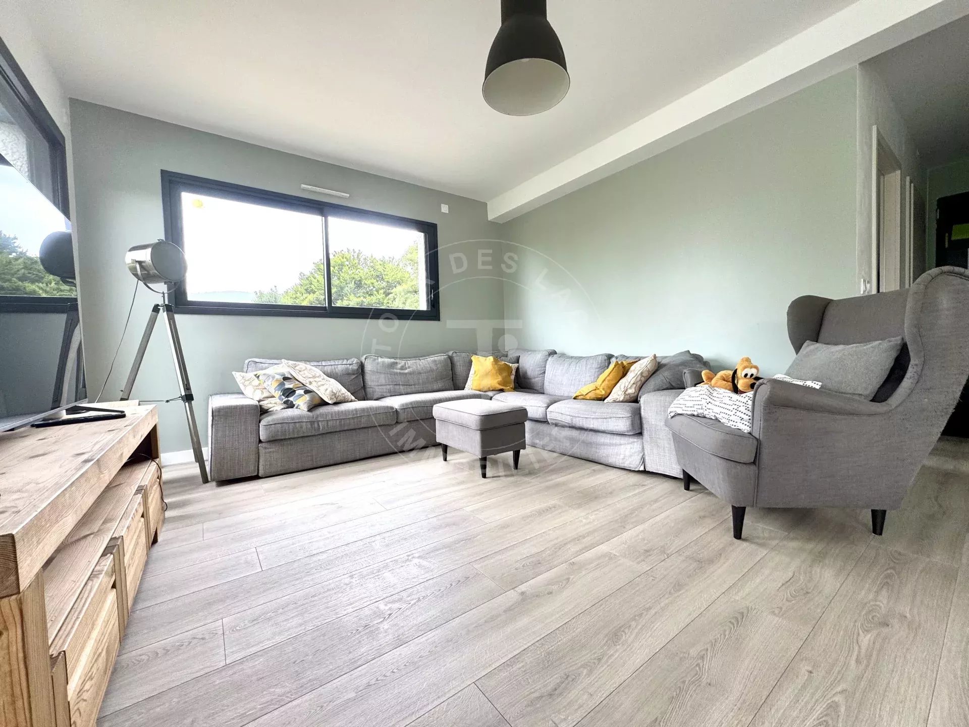 vente maison MENTHONNEX EN BORNES