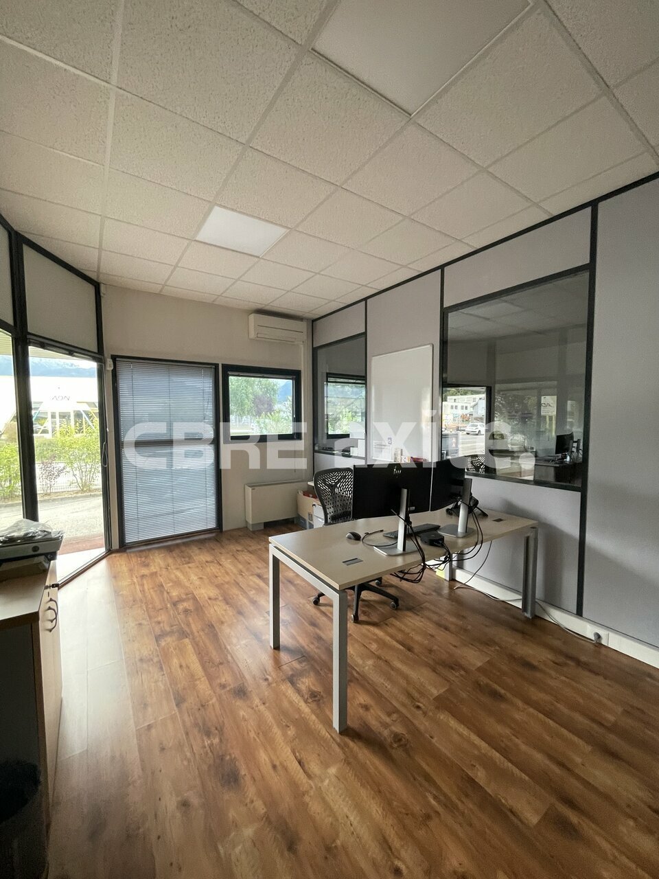 location local-professionnel PRINGY