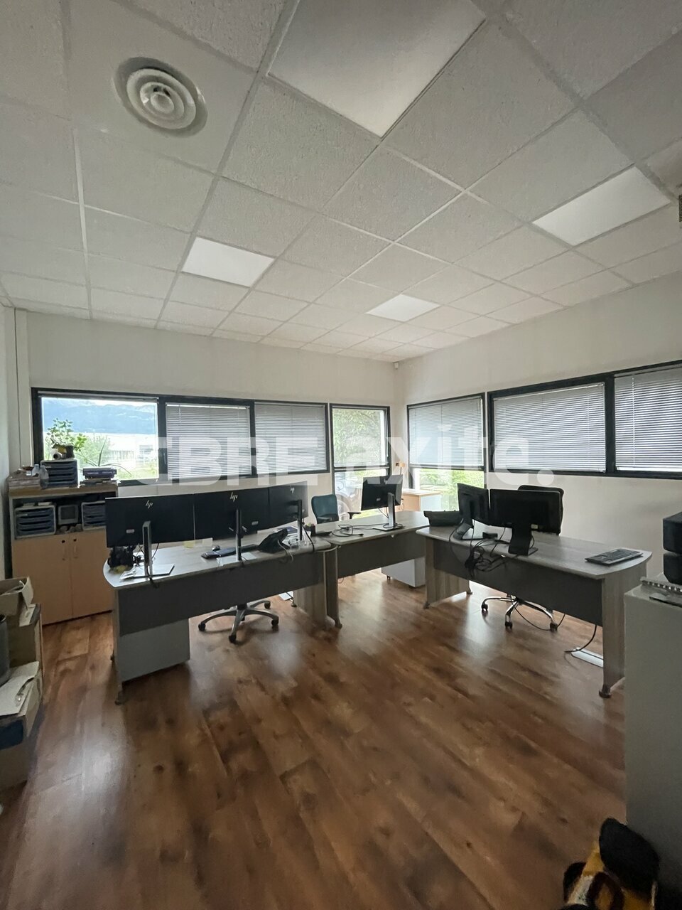 location local-professionnel PRINGY