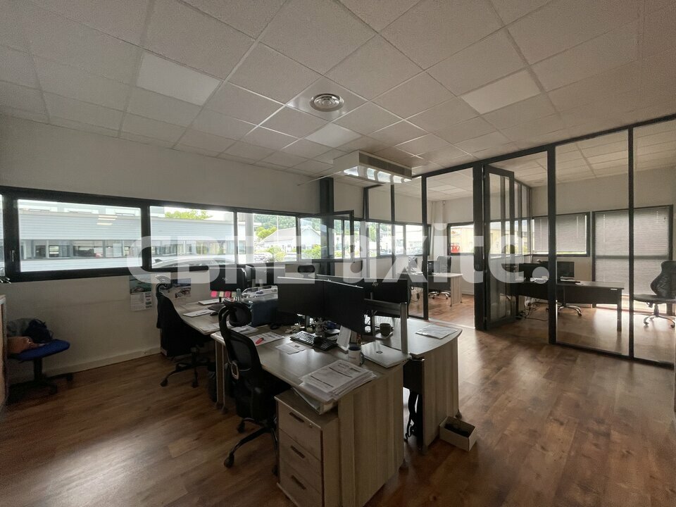 location local-professionnel PRINGY