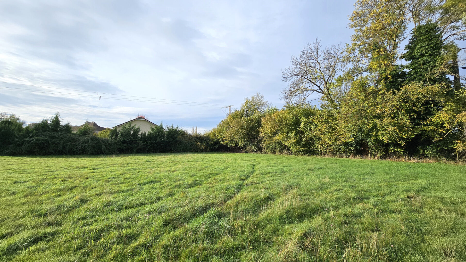 vente terrain 
