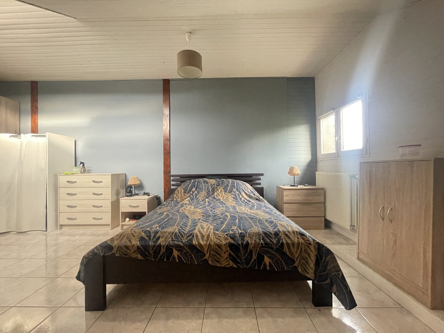 vente appartement LA BALME DE SILLINGY