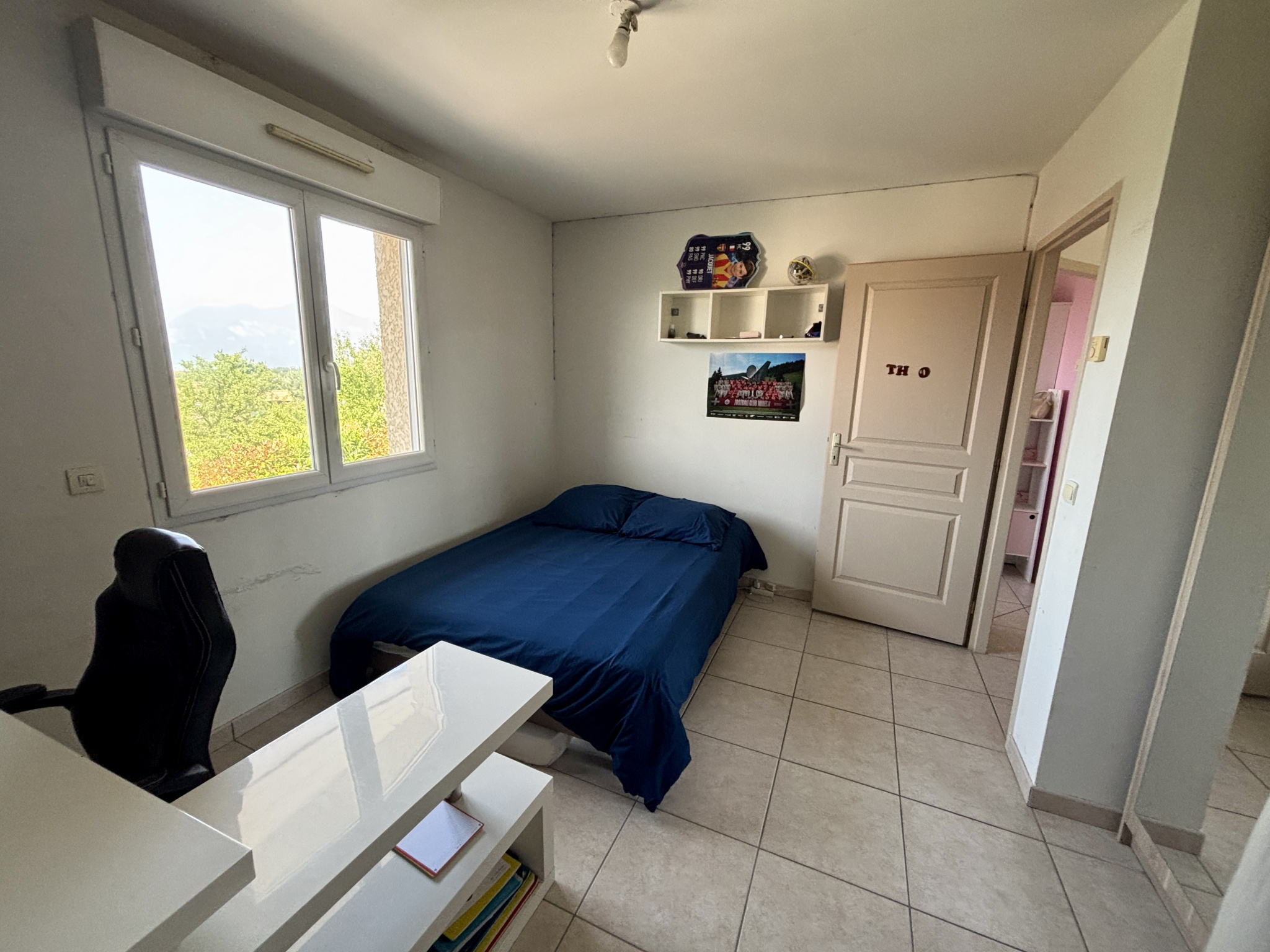 vente maison LA ROCHE SUR FORON