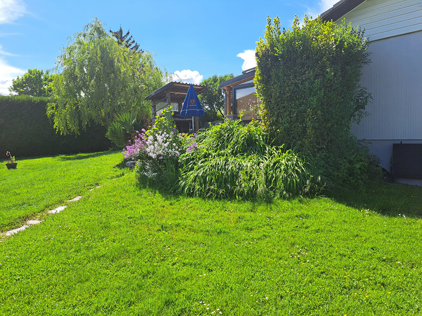 vente maison 