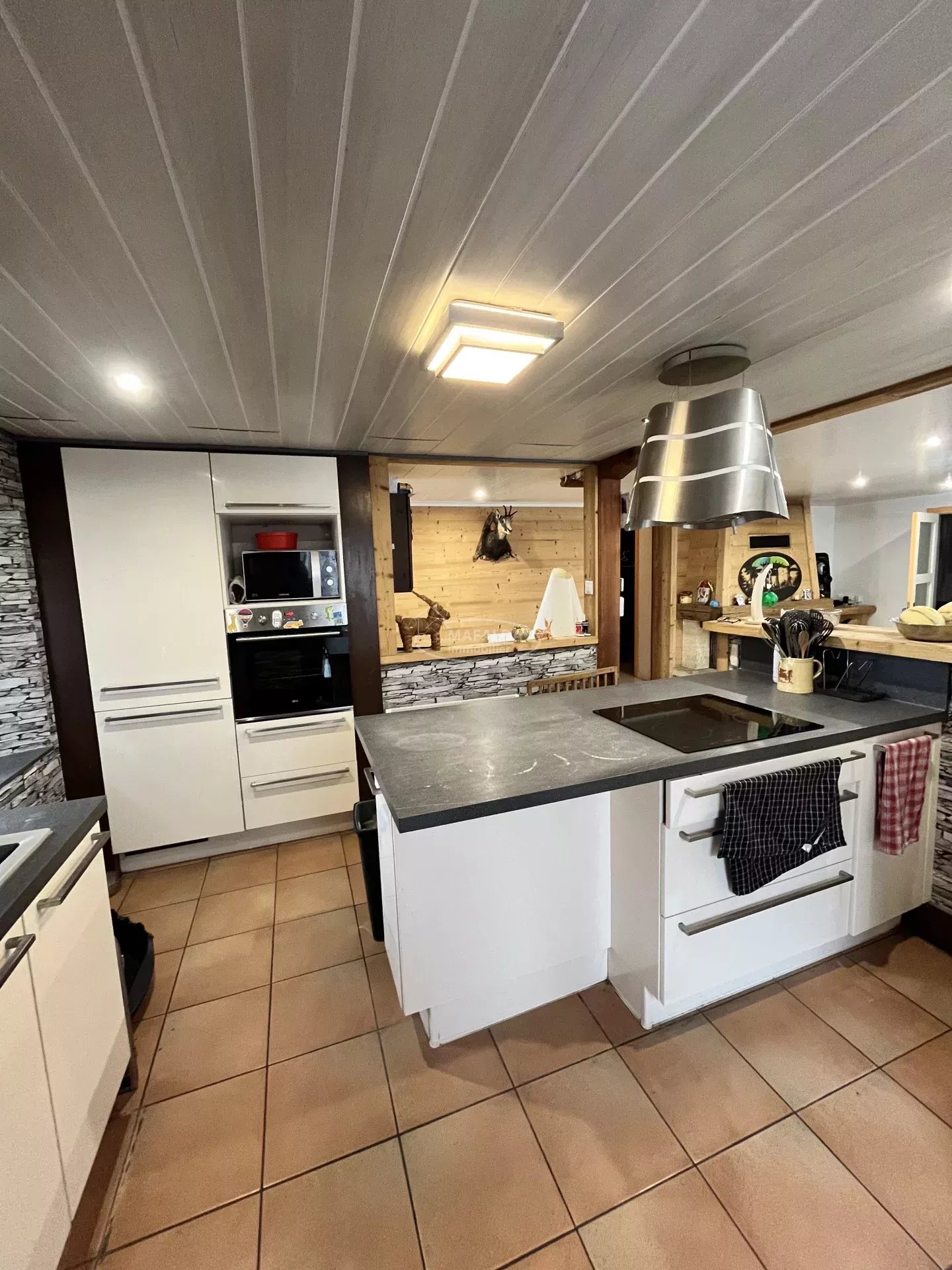 vente appartement MONT SAXONNEX