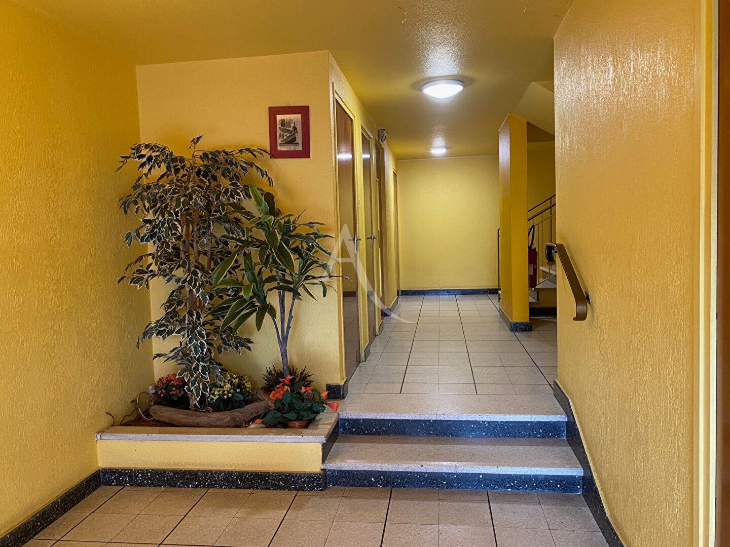 location appartement 