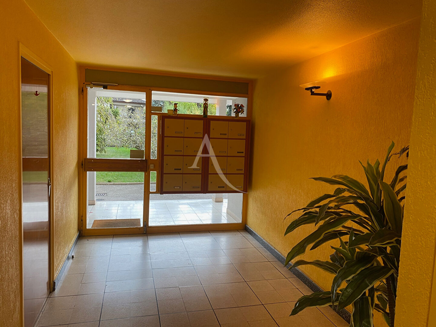 location appartement 