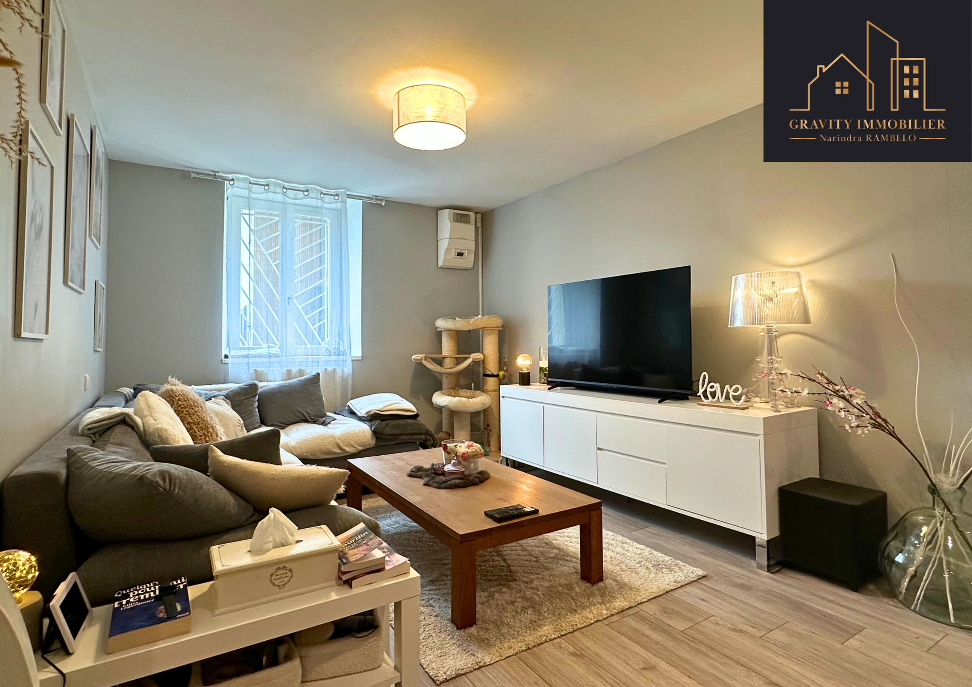 vente appartement SCIONZIER