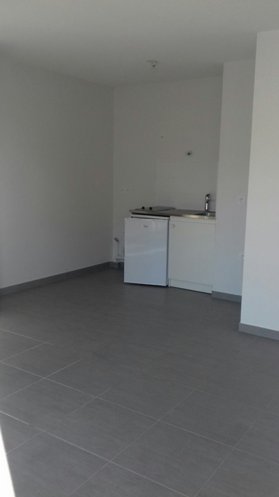 location appartement BARBERAZ