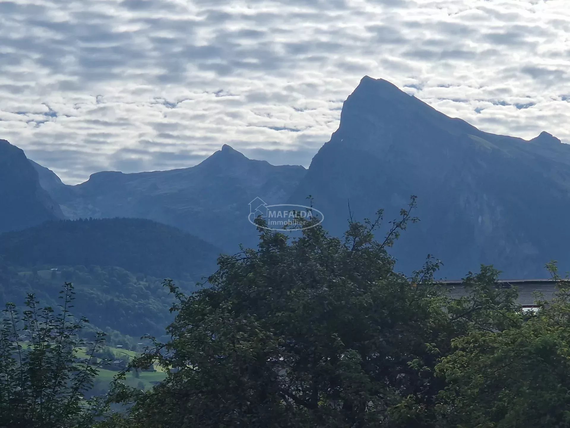vente terrain MORILLON