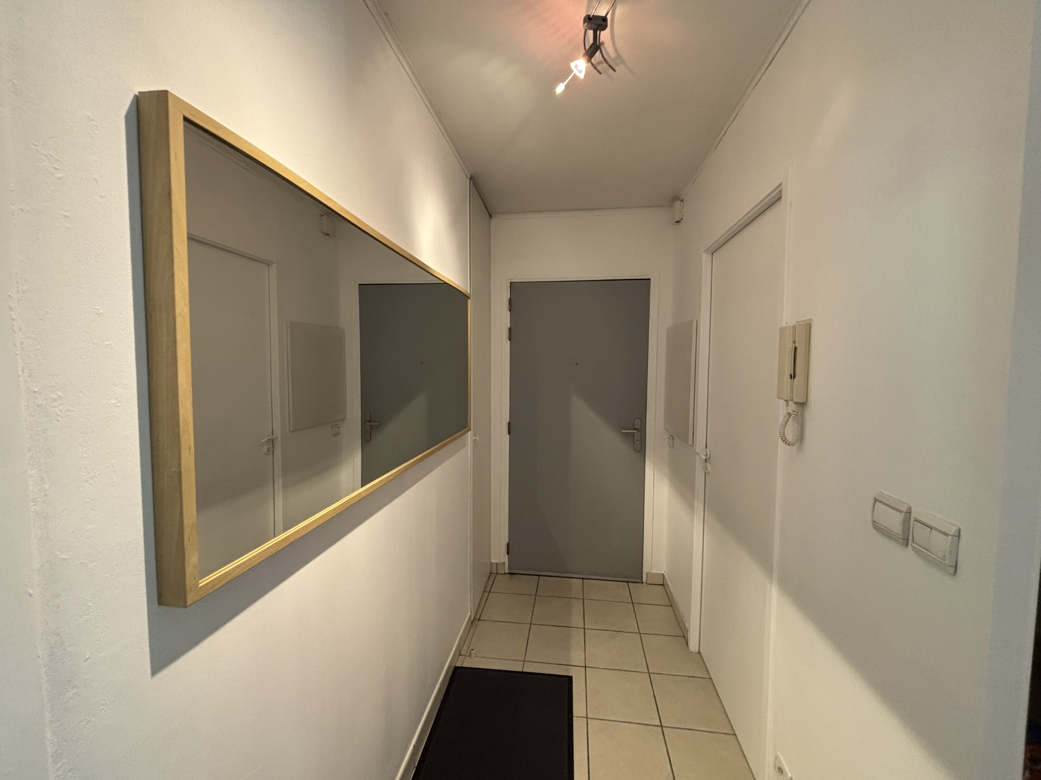vente appartement THYEZ