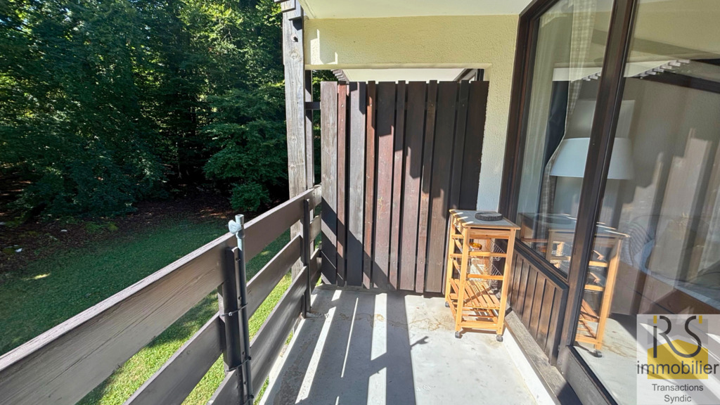 vente appartement LES CARROZ D ARACHES