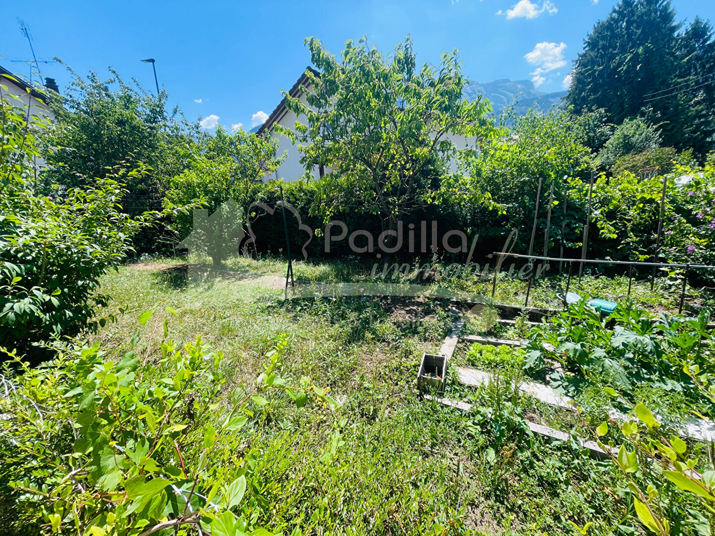 vente maison 