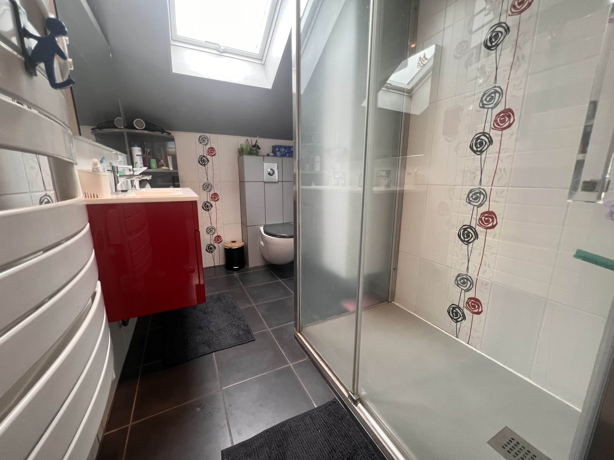 vente maison SALLANCHES