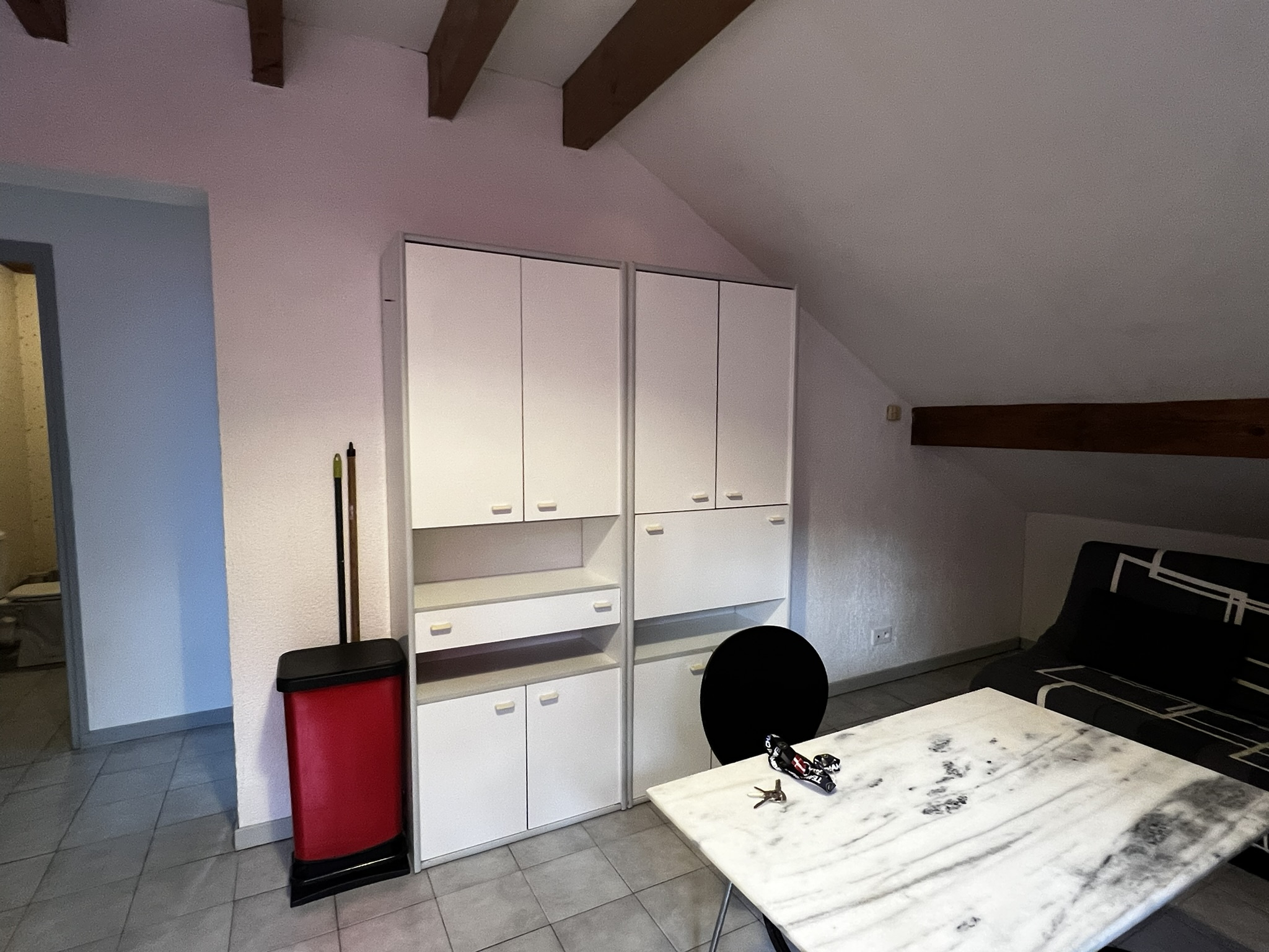 location appartement AIX LES BAINS