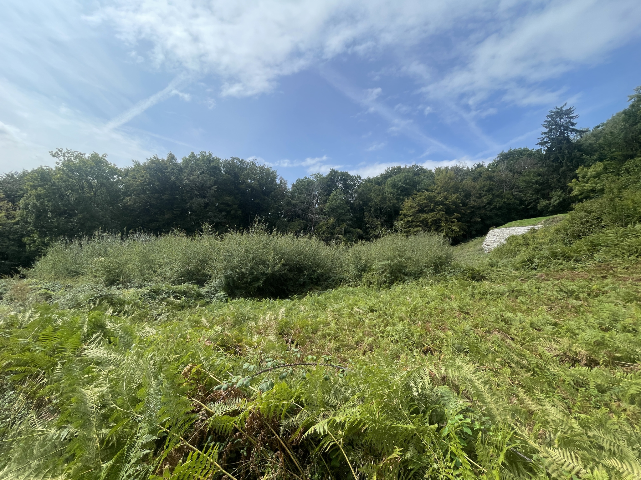 vente terrain AYSE