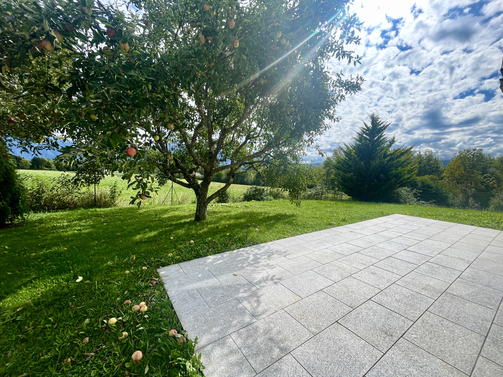 vente maison CONTAMINE SUR ARVE