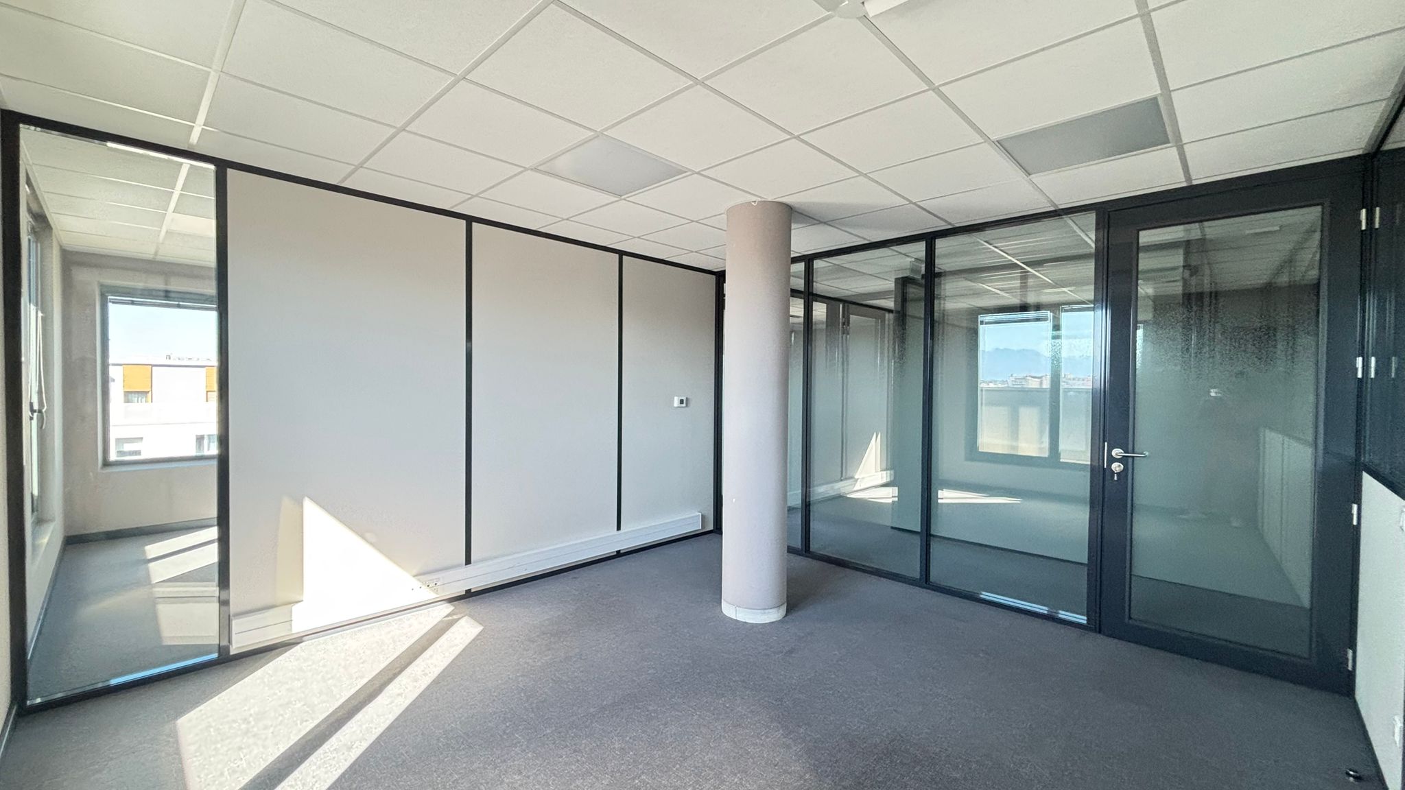 location local-professionnel 